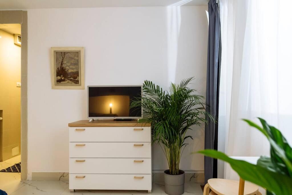 דירה With Private Terrace Next To Cismigiu *