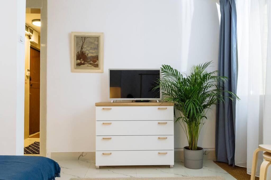 דירה With Private Terrace Next To Cismigiu בוקרשט